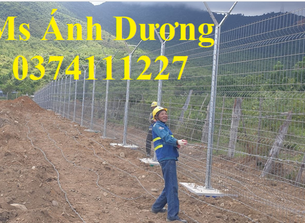 Lưới Hàng Rào mạ kẽm D5 Ô 50X200 ,lưới thép hàng rào Mạ Kẽm Sơn Tĩnh Điện