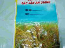Bao lúa giống 40kg có bao nilong bên trong có sẵn số lượng lớn tại kho
