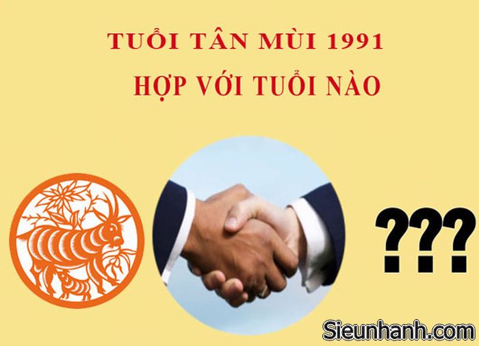 tuoi-tan-mui-1991-hop-voi-tuoi-nao-theo-phong-thuy-1