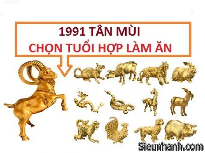 tuoi-tan-mui-1991-hop-voi-tuoi-nao-theo-phong-thuy-5