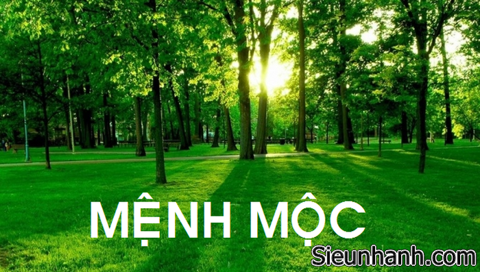 mau-sac-hop-voi-nguoi-menh-moc-2