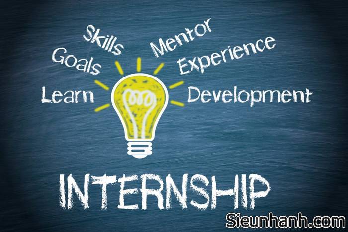 internship-la-gi-cong-viec-cua-internship-1