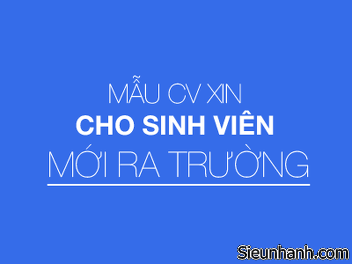 mau-cv-cho-sinh-vien-moi-ra-truong-chinh-phuc-ntd-2