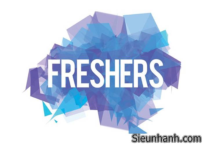 fresher-la-gi-su-khac-nhau-giua-fresher-va-internship-1